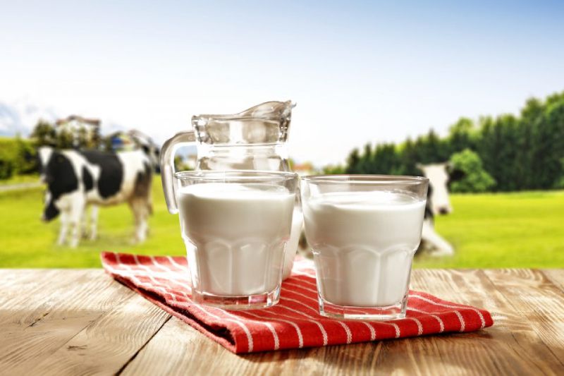 Sự đa dạng của thị trường sữa ngày nay mang lại cho chúng ta không ít lựa chọn và trong số đó, sự phân biệt giữa sữa tách béo và sữa nguyên kem là một điều quan trọng khi quyết định chọn loại sữa nào phù hợp với nhu cầu dinh dưỡng. Cả hai loại sữa đều có đặc điểm và ưu điểm riêng, từ chất béo đến hương vị và cách sử dụng. Hãy cùng Blanca khám phá những điểm khác biệt giữa sữa tách béo và sữa nguyên kem trong nội dung bài viết dưới đây. 1. Sữa tách béo là gì? Sữa tách béo hay còn được biết đến với tên gọi sữa tách kem, đơn giản là sữa đã trải qua quá trình loại bỏ một phần chất béo hoặc kem từ sữa. Điều này dẫn đến việc mất đi hương vị béo ngậy và màu trắng tự nhiên của sữa, khiến cho sữa tách béo có vị khác biệt so với các loại sữa nguyên chất khác. Mặc dù sữa tách béo không loại bỏ toàn bộ 100% chất béo từ sữa, tỷ lệ này phụ thuộc vào quy trình sản xuất của từng nhà sản xuất. Do đó, so với sữa nguyên kem, sữa tách béo yêu cầu thêm bước tách béo/kem, làm tăng chi phí sản xuất và làm cho giá thành cao hơn. 2. Sữa nguyên kem là gì? Sữa nguyên kem hay còn gọi là Full Cream Milk, là sự kết hợp hoàn toàn từ sữa bò tươi, không thêm bất kỳ chất bảo quản hoặc phụ gia nào trong quá trình sản xuất. Sữa nguyên kem tồn tại dưới hai dạng chính: sữa bột nguyên kem và sữa tươi nguyên kem. Sự khác biệt cơ bản giữa hai loại này xuất phát từ quá trình tách nước trong quá trình chế biến. Sử dụng nhiệt độ cao có thể dẫn đến mất mát hoặc giảm lượng một số chất dinh dưỡng quan trọng. Do đó, sữa bột nguyên kem thường có hàm lượng chất béo và chất dinh dưỡng thấp hơn so với sữa tươi nguyên kem. 3. Sữa tách béo và sữa nguyên kem khác nhau ở điểm gì? Sự khác biệt giữa sữa tách béo và sữa nguyên kem có nguồn gốc từ quá trình sản xuất, mặc dù cả hai đều được chiết xuất từ sữa bò và có hai dạng là bột hoặc nước, cũng như đều đóng vai trò là thực phẩm bổ sung chất dinh dưỡng. Tuy nhiên, đặc điểm quan trọng nhất nằm ở hàm lượng chất béo và nội dung dưỡng chất khác: Hàm lượng chất béo: Sữa nguyên kem thường có hàm lượng chất béo cao, khoảng 3,5-3,7% (tùy thuộc vào loại sữa bột hay sữa tươi). Ngược lại, sữa tách béo chỉ chứa khoảng 0,5% chất béo, đa phần là chất béo chưa bão hòa. Vitamin và khoáng chất: Quá trình tách béo của sữa tách béo đồng nghĩa với việc loại bỏ một số vitamin và khoáng chất. Điều này bao gồm vitamin A (có vai trò quan trọng trong chức năng thị giác và hệ thống miễn dịch), vitamin C (đóng vai trò trong tăng cường hệ miễn dịch và phòng ngừa bệnh tim mạch) và vitamin K (hỗ trợ quá trình đông máu và chuyển hóa canxi trong xương). Sữa tách béo lại nổi bật với nhiều canxi và protein, hai chất dưỡng chất quan trọng hỗ trợ phát triển xương, răng và chức năng cơ bắp. 4. Đối tượng sử dụng của sữa tách béo và sữa nguyên kem Lựa chọn loại sữa phù hợp với nhu cầu cá nhân là quan trọng để đảm bảo sức khỏe. Sữa tách béo có nhiều loại với các tỷ lệ phần trăm tách béo khác nhau. Lựa chọn loại sữa tách béo phù hợp tùy thuộc vào nhu cầu cá nhân. Nếu bạn đang theo chế độ ăn ít chất béo và cholesterol, sữa tách béo có thể là sự lựa chọn thích hợp. Tuy nhiên, phụ nữ mang thai và trẻ em nên sử dụng loại sữa chuyên dụng thay vì sữa tách béo. Đồng thời, khi tiêu thụ sữa tách béo, cần bổ sung thêm vitamin và chất dinh dưỡng thiếu hụt để đảm bảo cân nặng và sức khỏe. Sữa nguyên kem là lựa chọn thông dụng hơn vì không có sự hạn chế đối tượng sử dụng. Mọi lứa tuổi, từ thanh thiếu niên đến người trung niên, người cao tuổi, những người ốm bệnh, người kén ăn hoặc suy dinh dưỡng, đều có thể sử dụng sữa nguyên kem. Tuy nhiên, cần lưu ý rằng trẻ em dưới 1 tuổi hoặc trẻ có vấn đề về tiêu hóa không nên sử dụng sữa nguyên kem, vì hệ tiêu hóa của họ không phù hợp để hấp thụ đầy đủ dinh dưỡng từ sữa, có thể gây ra các vấn đề như đầy hơi, khó tiêu, nôn mửa. 5. Thương hiệu sữa tách béo và sữa nguyên kem nhập khẩu trực tiếp từ Hà Lan BLANCA là một thương hiệu sữa nổi tiếng, chuyên cung cấp sữa tách béo và sữa nguyên kem nhập khẩu trực tiếp từ Hà Lan. Xuất phát từ quốc gia nổi tiếng với nguồn nguyên liệu sữa chất lượng cao, BLANCA tự hào mang đến cho người tiêu dùng trên toàn thế giới những sản phẩm sữa chất lượng và ngon miệng. Với hơn 65 năm kinh nghiệm trong ngành sữa, Blanca Milk mang theo di sản của niềm tin vào chất lượng sản phẩm. Sữa bột Blanca tuân thủ các tiêu chuẩn chất lượng và vệ sinh nghiêm ngặt quy trình sấy khô ban đầu cho đến đóng gói cuối cùng. Tham khảo chi tiết Sữa Blanca nhập khẩu trực tiếp từ Hà Lan tại đây: https://blancamilk.com.vn/sua-blanca/ Lời kết Lựa chọn giữa sữa tách béo và sữa nguyên kem phụ thuộc vào mục tiêu dinh dưỡng và sở thích cá nhân của mỗi người tiêu dùng. Quan trọng nhất là hiểu rõ về đặc tính của từng loại sữa để có quyết định thông minh về lựa chọn sữa phù hợp với nhu cầu và khẩu vị cá nhân. Hy vọng bài viết trên của Blanca đã giúp bạn có cái nhìn tổng quan về sự khác nhau giữa sữa tách béo và sữa nguyên kem, từ đó hỗ trợ quá trình chọn lựa sản phẩm sữa phù hợp nhất cho gia đình bạn.